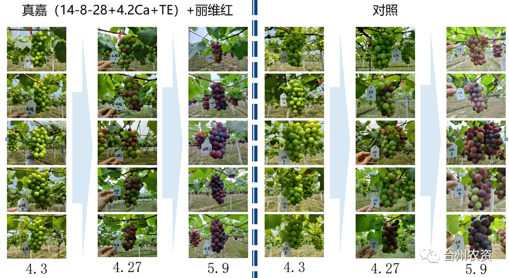 臺(tái)州農(nóng)資 臺(tái)州農(nóng)資
