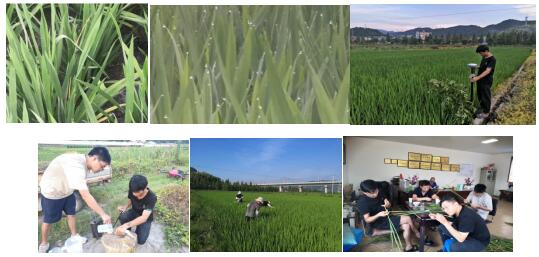 臺(tái)州農(nóng)資 臺(tái)州農(nóng)資